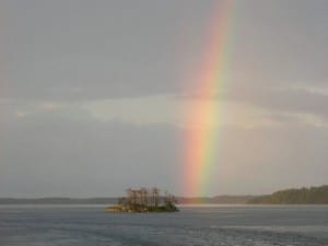 Die Umwelt-Enzyklika: Was wird sie bringen?